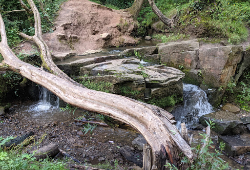 Delph Waterfall And Nature Trail