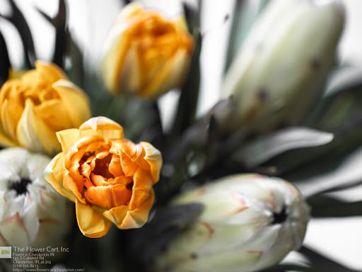 Florist «The Flower Cart, Inc», reviews and photos, 145 S Calumet Rd, Chesterton, IN 46304, USA