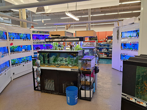Pet Supply Store «Petco Animal Supplies», reviews and photos, 1209 New Brunswick Ave, Phillipsburg, NJ 08865, USA