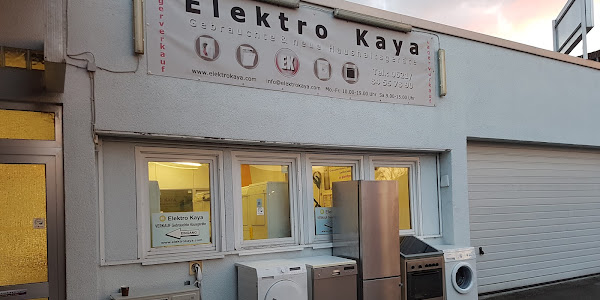 Elektro Kaya