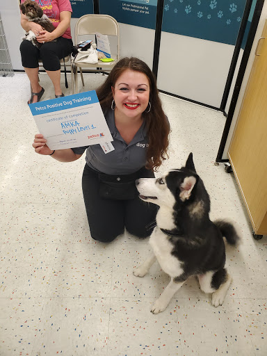 Pet Supply Store «Petco Animal Supplies», reviews and photos, 13127 N Dale Mabry Hwy, Tampa, FL 33618, USA