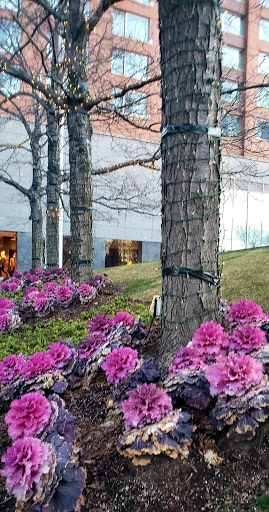 National Park «Castle Clinton National Monument», reviews and photos, Battery Park, New York, NY 10004, USA