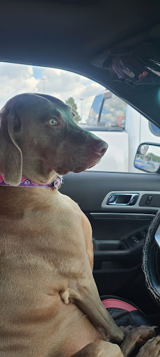 Department Store «Walmart Supercenter», reviews and photos, 2501 Walton Blvd, Warsaw, IN 46582, USA