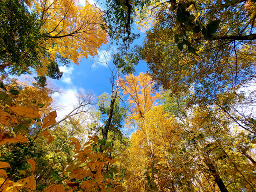 Nature Preserve «Meltzer Woods», reviews and photos, 1522 S 600 E, Shelbyville, IN 46176, USA