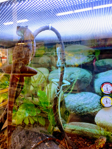 Pet Supply Store «Petco Animal Supplies», reviews and photos, 226 Thornton Drive, Dickson, TN 37055, USA