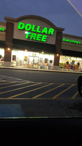 Dollar Store «Dollar Tree», reviews and photos, 11337 Tara Blvd, Hampton, GA 30228, USA