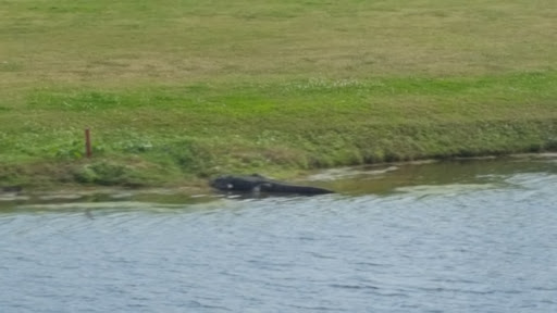 Golf Course «Largo Golf Course», reviews and photos, 12500 Vonn Rd, Largo, FL 33774, USA