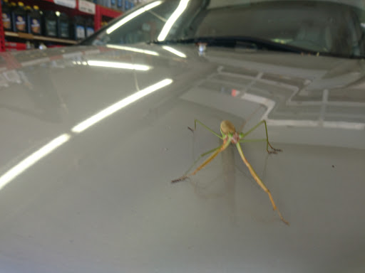 Oil Change Service «Fast Lane Quick Lube», reviews and photos, 207 Albany Turnpike, Canton, CT 06019, USA