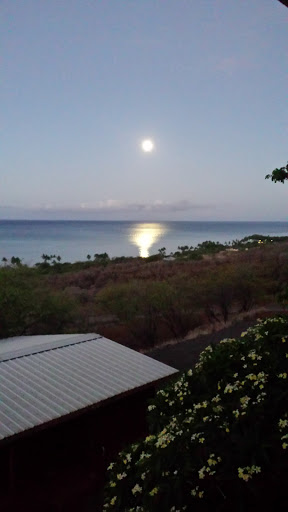 Drug Store «Walgreens», reviews and photos, 1215 16th St, Bedford, IN 47421, USA