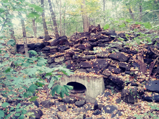 Park «Van Cortlandt Park», reviews and photos, Broadway and Vancortlandt Park S, Bronx, NY 10462, USA