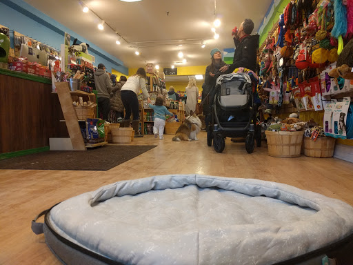 Pet Supply Store «Petagogy», reviews and photos, 5880 Ellsworth Ave, Pittsburgh, PA 15232, USA