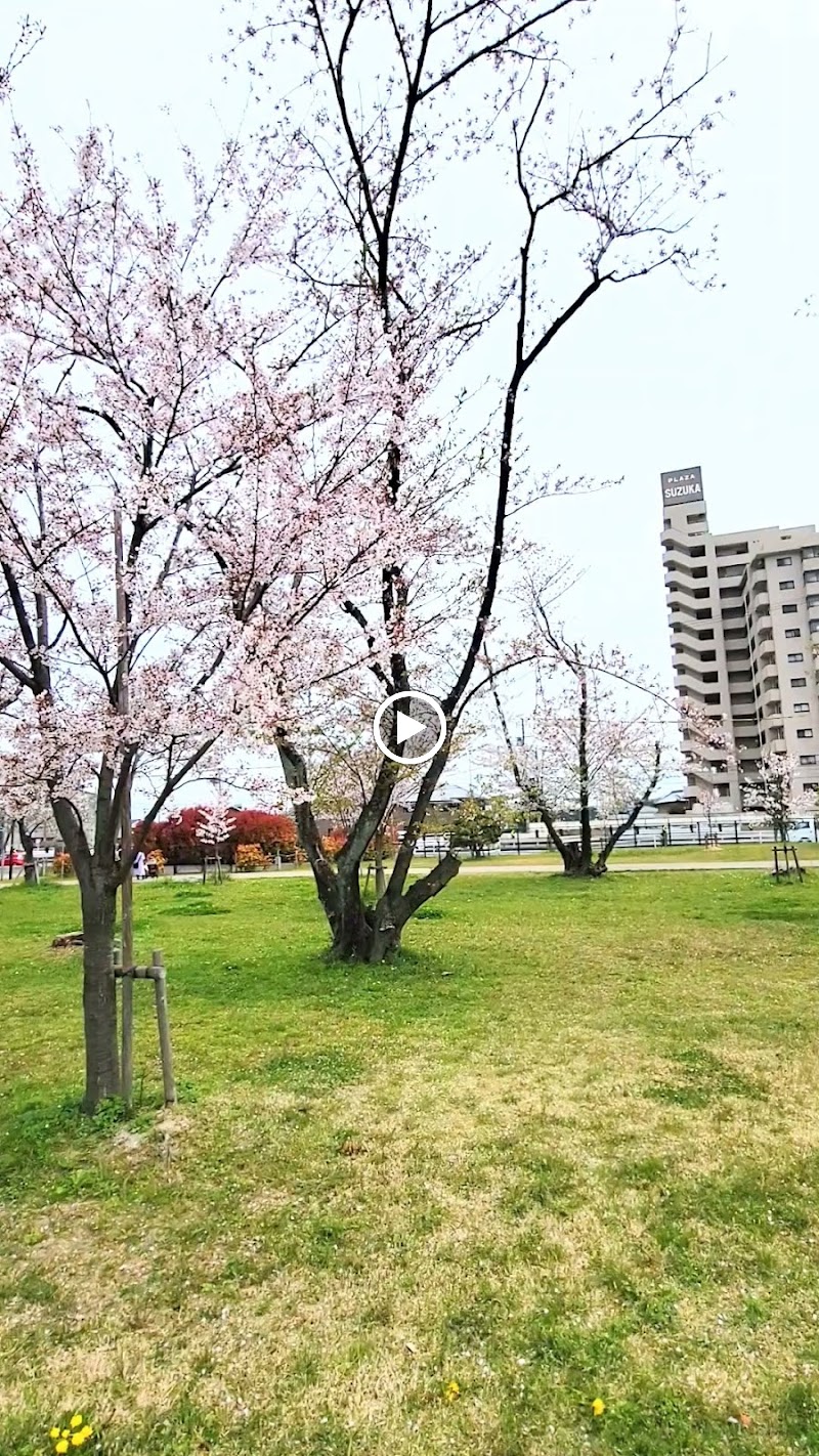 桜の森公園野球場