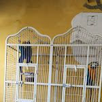 Photo n°7 de l'avis de Vanna.i fait le 19/12/2021 à 18:43 sur le  Tenuta Sorvillo à Pontecagnano Faiano