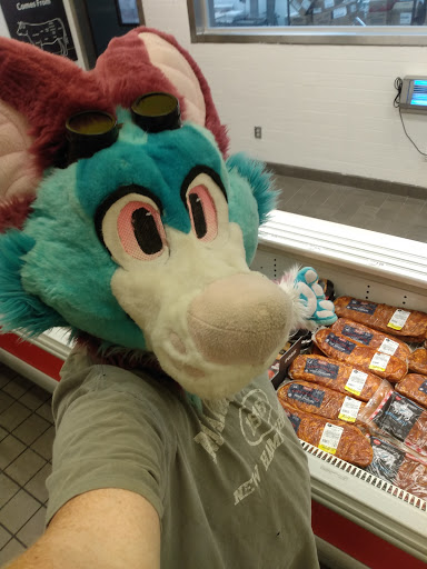 Grocery Store «Winn-Dixie», reviews and photos, 3435 N Pine Ave, Ocala, FL 34475, USA