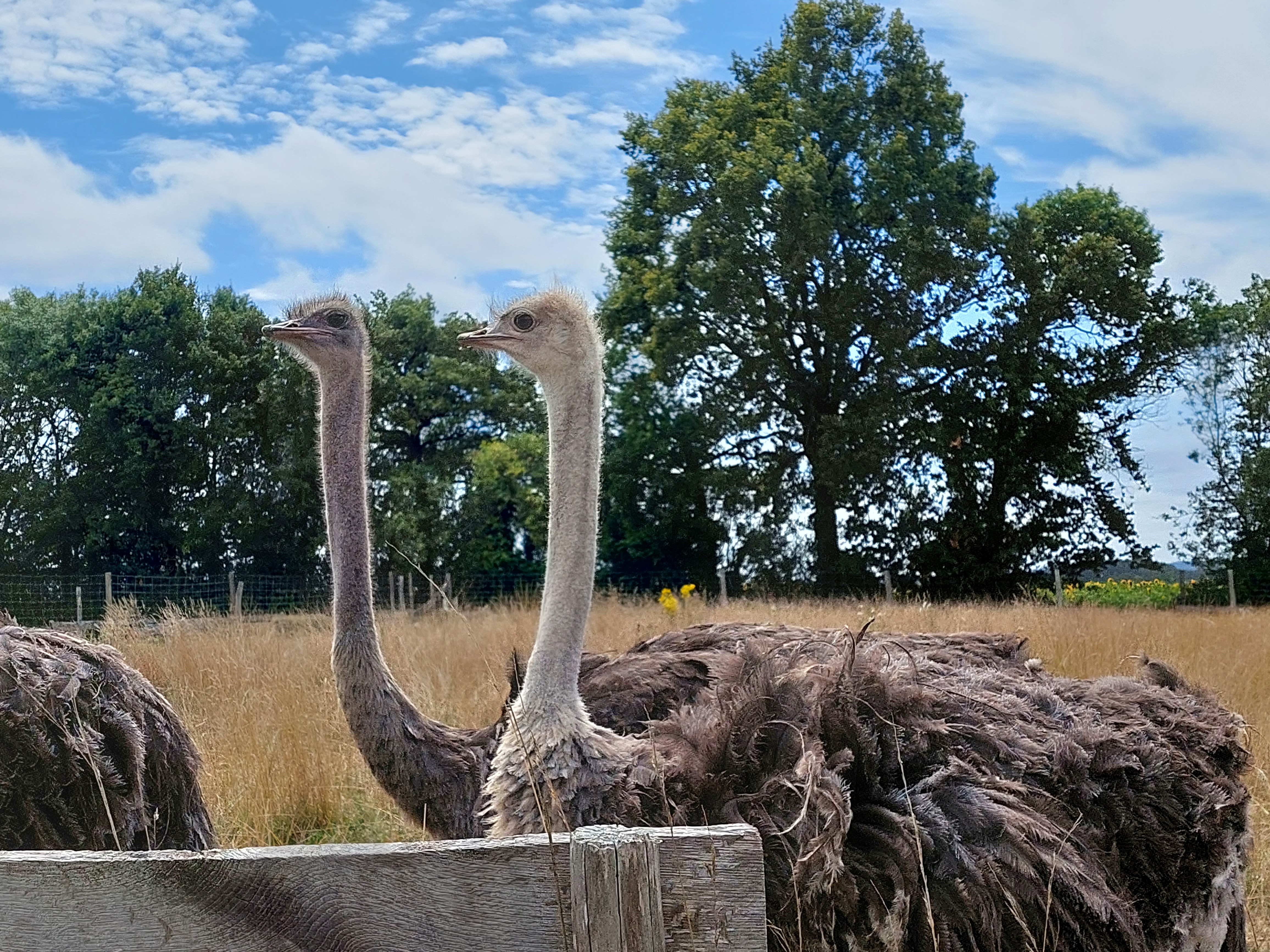 Photo n° 3 de l'avis de Mimi.i fait le 02/08/2023 à 16:57