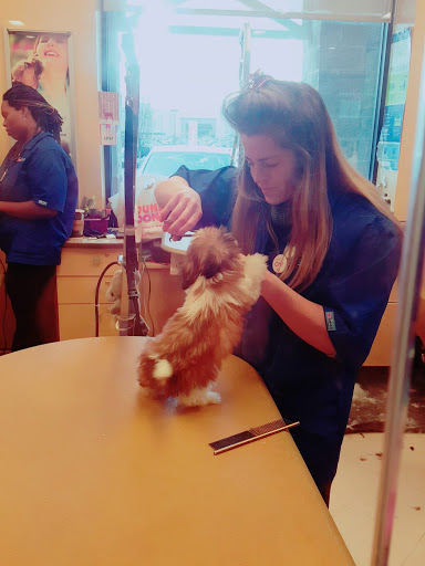 Pet Supply Store «PetSmart», reviews and photos, 60 NJ-17, Paramus, NJ 07652, USA