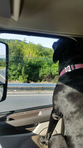 Convenience Store «Pilot Travel Center», reviews and photos, 979 NJ-173, Bloomsbury, NJ 08804, USA