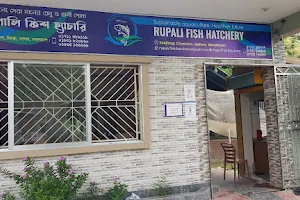 রূপালী ফিশ হ্যাচারি। Rupali Fish Hatchery image