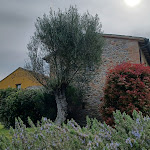 Photo n°12 de l'avis de maurizio.a fait le 25/04/2023 à 14:44 sur le  Country House Ca 'Virginia Wellness Bike Resort à Borgo Massano