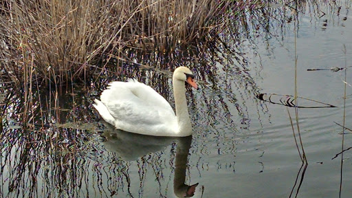 State Park «Cape May Point State Park», reviews and photos, Light House Ave, Cape May Point, NJ 08212, USA