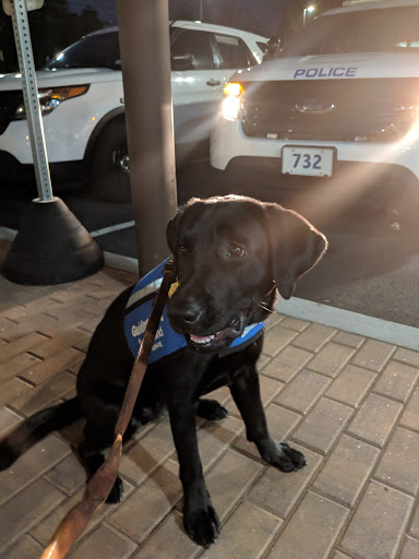 Shopping Mall «Golden Horseshoe Shopping Center», reviews and photos, 1088 Wilmot Rd, Scarsdale, NY 10583, USA