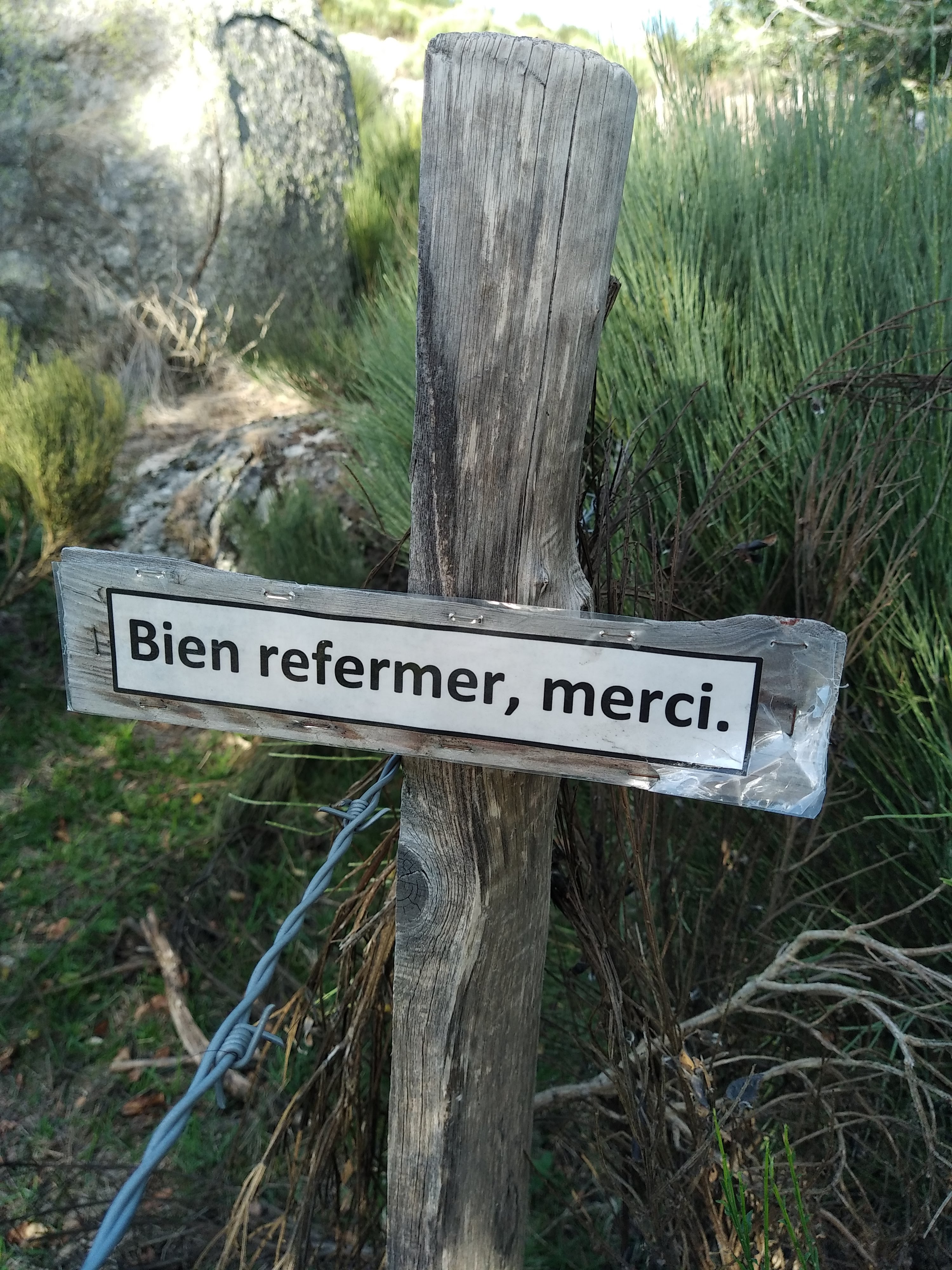 Photo n° 42 de l'avis de Julien.a fait le 15/10/2022 à 19:20
