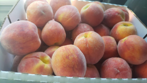 Supermarket «Spring Valley Farm Corner Market», reviews and photos, 22580 Northwestern Turnpike, Romney, WV 26757, USA