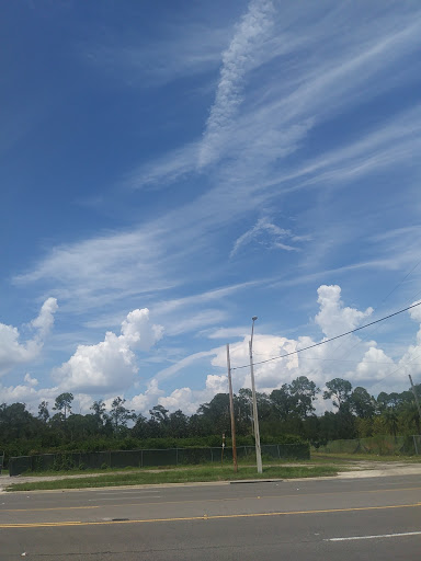 Explore httyd tattoo ideas, creative tattoo ideas in Jacksonville, available at Jax Ink Tattoo & body piercing