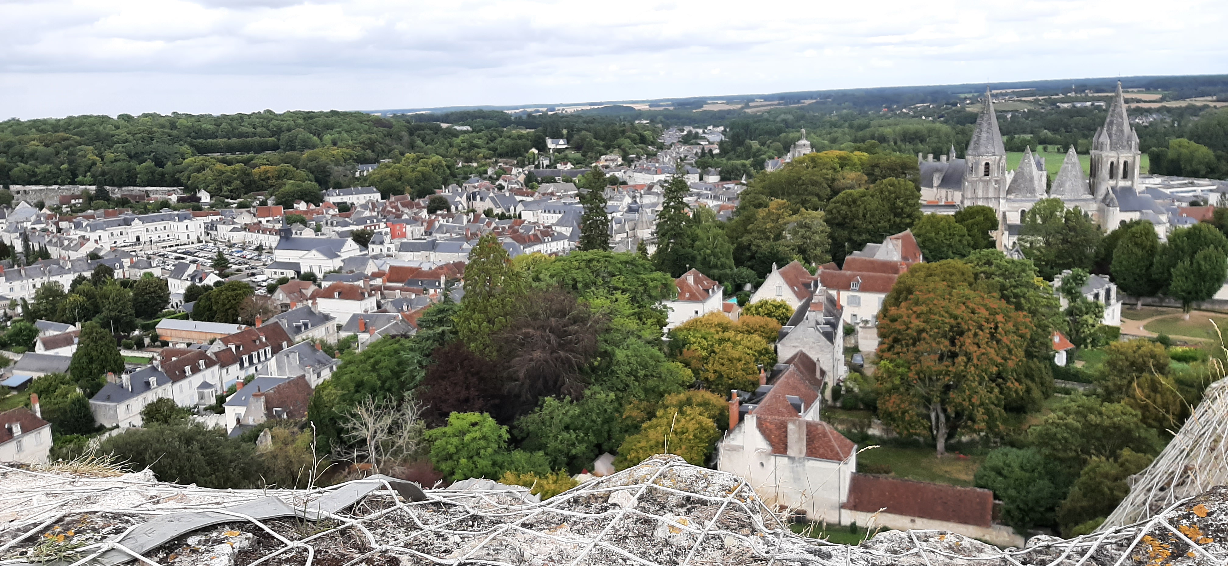 Photo n° 14 de l'avis de Reut. fait le 15/08/2023 à 14:34