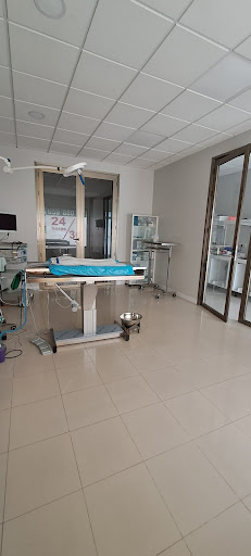 Hospitales y veterinarios de urgencia en Cambados de 2024