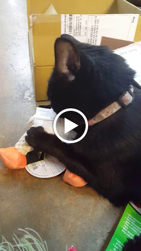 Pet Store «For Healthy Pets!», reviews and photos, 5165 Atlanta Hwy, Montgomery, AL 36109, USA