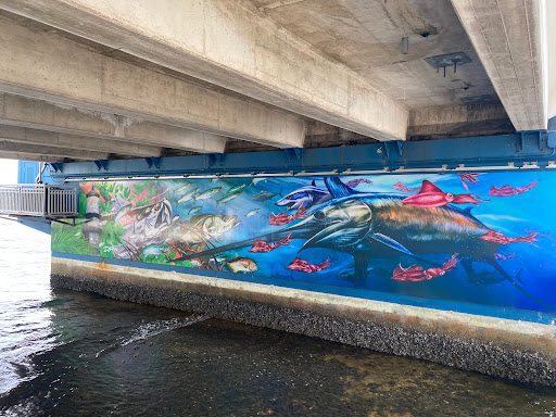 Surf Shop «2nd Street Surf Shop», reviews and photos, 3159 E Atlantic Blvd, Pompano Beach, FL 33062, USA