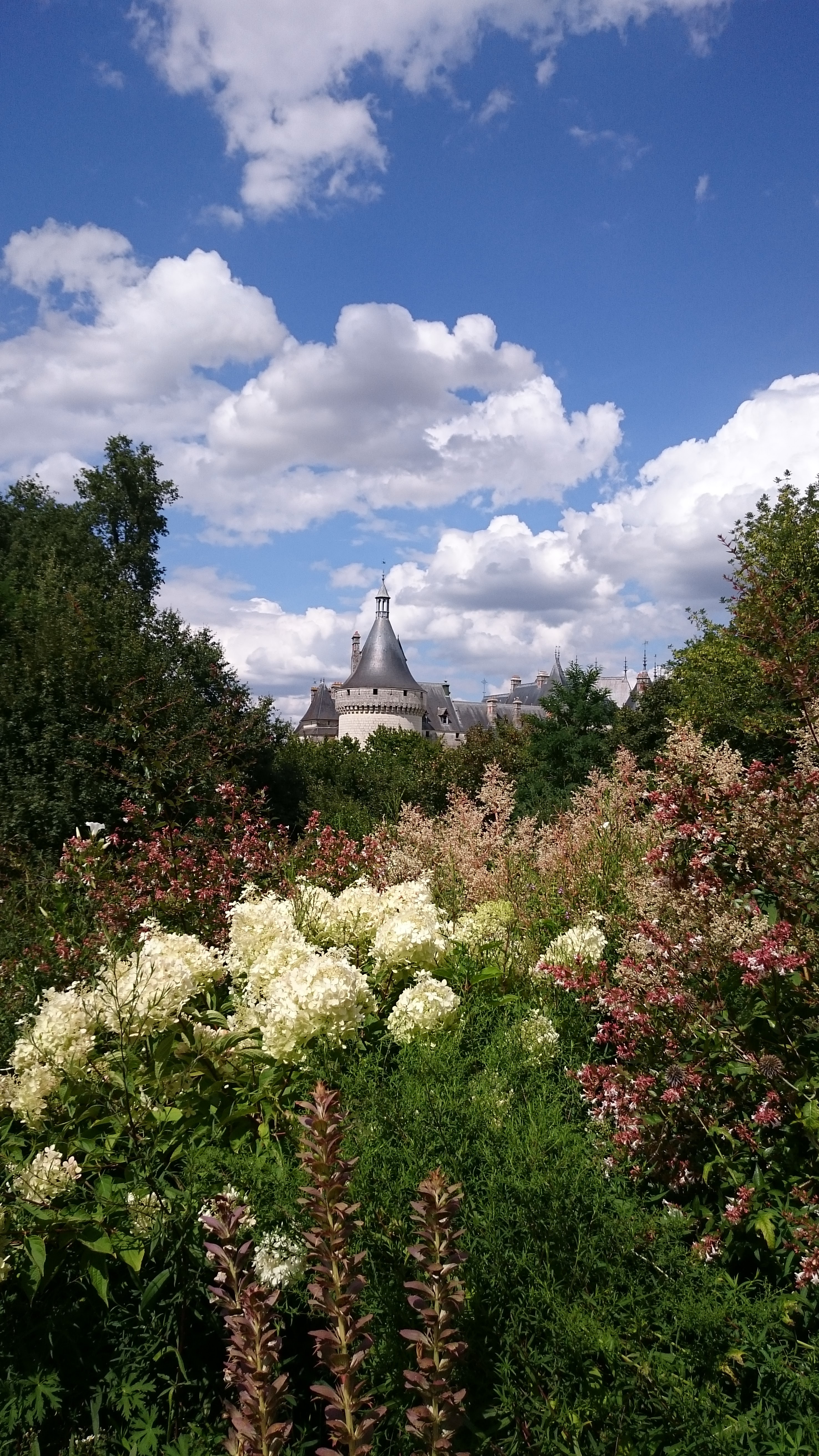 Photo n° 3 de l'avis de Thi.o fait le 01/08/2018 à 21:19