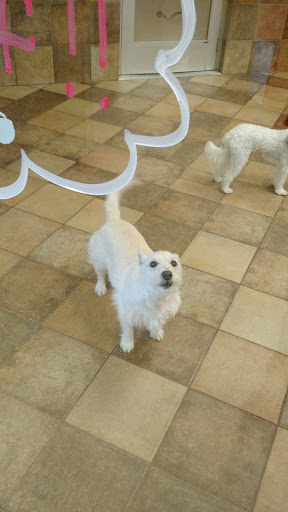 Pet Supply Store «PetSmart», reviews and photos, 6204 W Park Blvd, Plano, TX 75093, USA