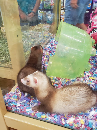 Pet Supply Store «Pet Supermarket, Inc.», reviews and photos, 6755 W Indiantown Rd, Jupiter, FL 33458, USA