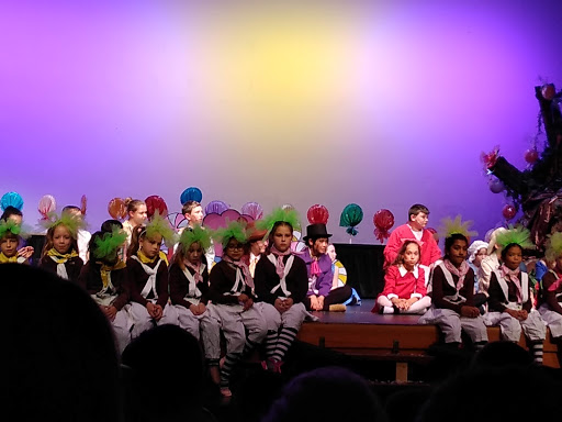 Performing Arts Theater «Cutting Hall Performing Arts Center», reviews and photos, 150 E Wood St, Palatine, IL 60067, USA