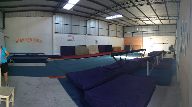 Instituto de Formación Gimnástica, Colonia - Gimnasio