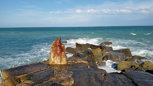 Grocery Store «Seaway Market & Deli», reviews and photos, 1001 Seaway Dr, Fort Pierce, FL 34949, USA