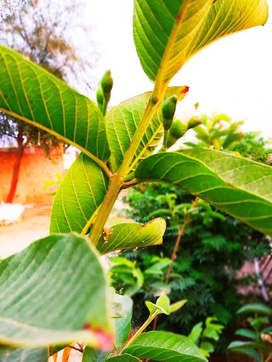 Computer Store «Apple Washington Square», reviews and photos, 9585 SW Washington Square Rd, Tigard, OR 97223, USA