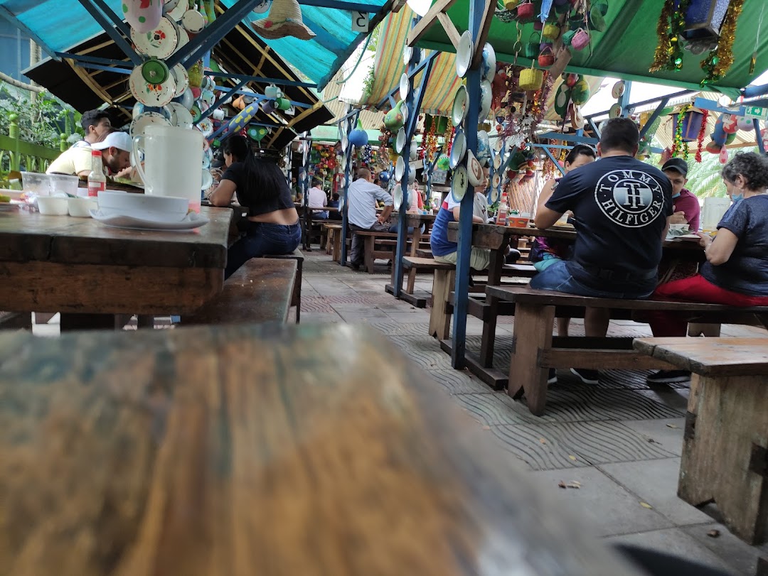 Bandejas Y Pescados Montañeros