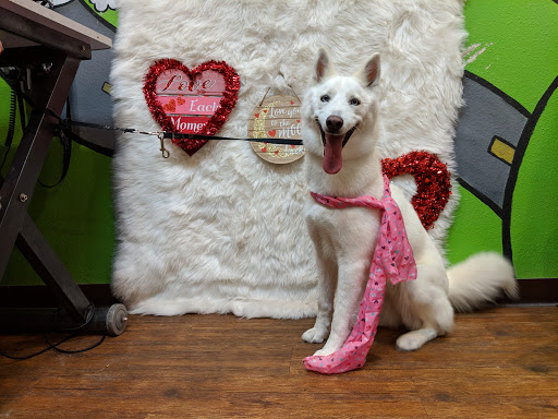 Pet Groomer «Glamour Pooch / Grooming Boutique», reviews and photos, 1590 Lomaland Dr, El Paso, TX 79935, USA