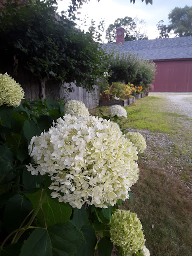 Winery «Sharpe Hill Vineyard», reviews and photos, 108 Wade Rd, Pomfret, CT 06258, USA