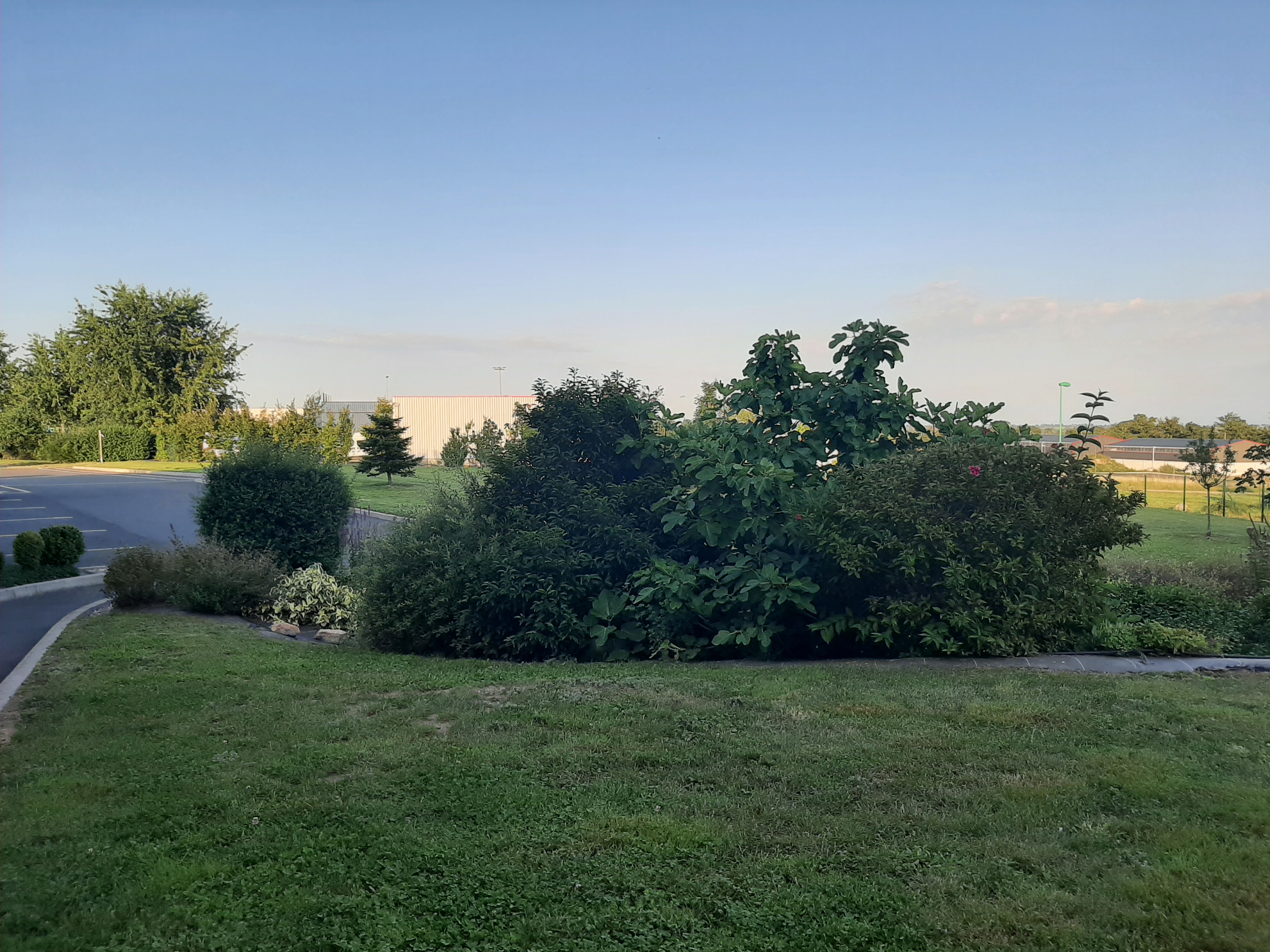 Photo n° 1 de l'avis de Aurelie.A fait le 11/08/2021 à 19:35