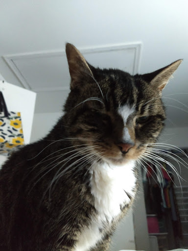 36097 Goodwin Dr, Locust Grove, VA 22508, USA