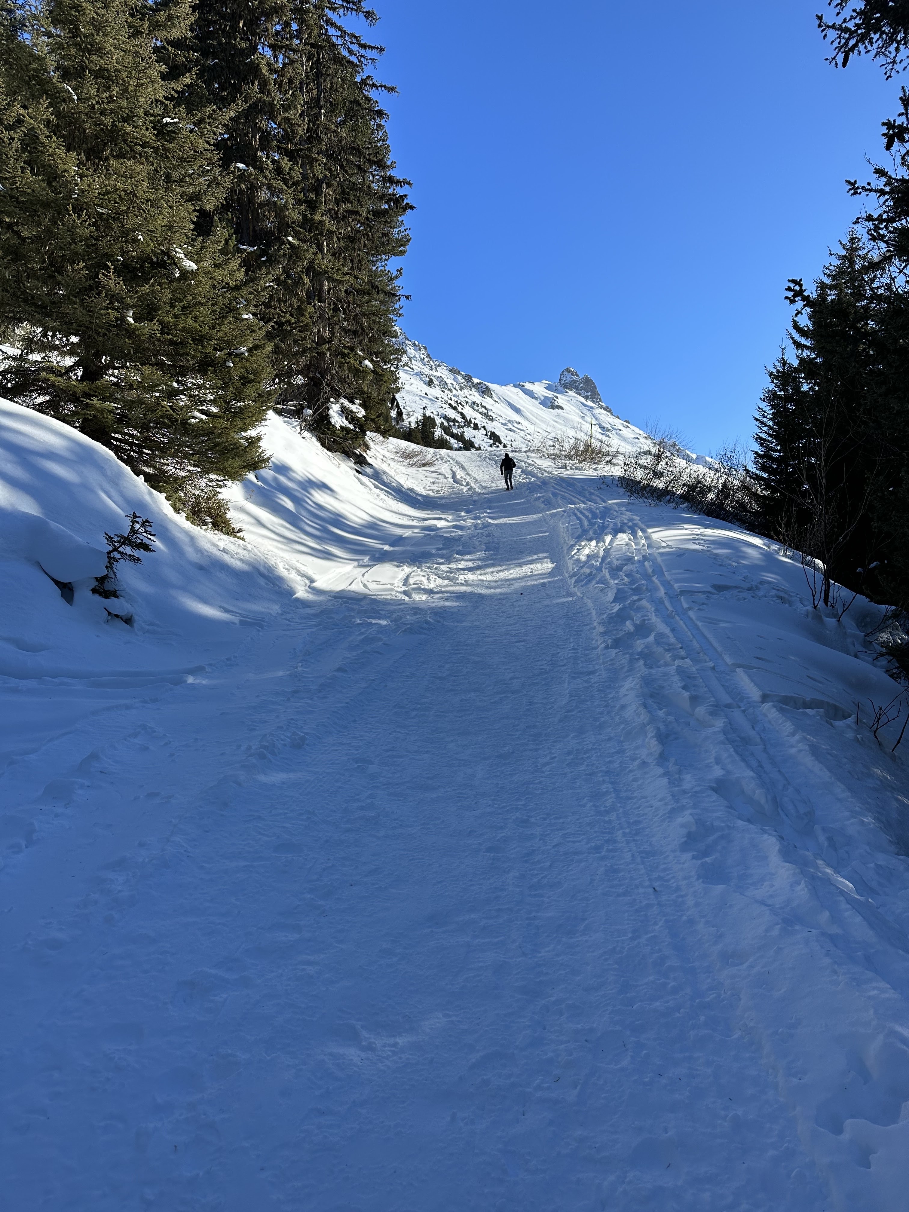 Photo n° 1 de l'avis de Noela.a fait le 02/02/2023 à 10:51