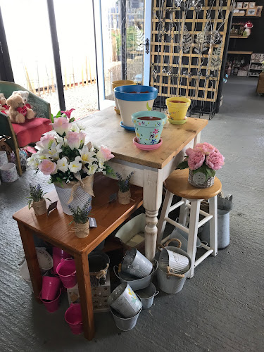 Reviews of Penney’s flowers and craft centre in Norwich - Florist