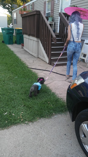 Shopping Mall «Lewisville West Shopping Center», reviews and photos, 701 S Stemmons Fwy #260, Lewisville, TX 75067, USA