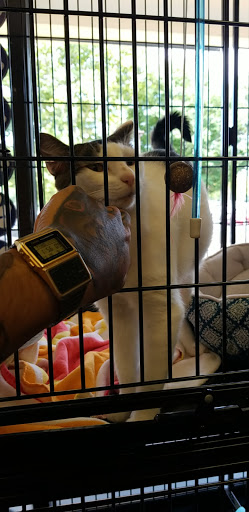 Pet Store «Pet Valu», reviews and photos, 1216 Chews Landing Rd, Laurel Springs, NJ 08021, USA