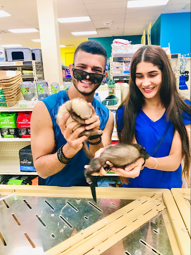 Pet Store «Pet Supermarket, Inc.», reviews and photos, 1938 FL-44 #40, New Smyrna Beach, FL 32168, USA