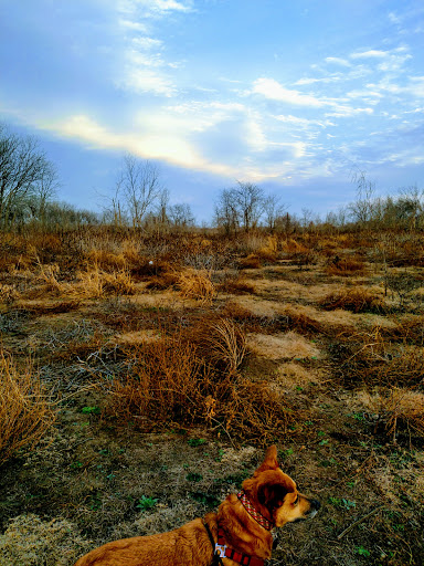 Park «Trophy Club Park», reviews and photos, 2885 Trophy Park Dr, Trophy Club, TX 76262, USA